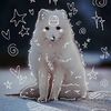 cloudthewhitecat2