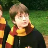 harrytvz