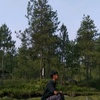 xz_farhan04