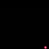 anto_043