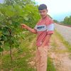 user69901612158665