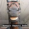 rudalkuda2
