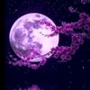 sevgi.demir324