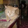 chit200897