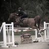 jazz_thejumper1