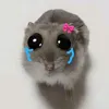 iwthaoviet