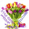 syful.islan5