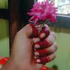 sabbir.ahmed.farh7