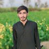 najamalmani0017