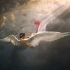 jihan.andreas