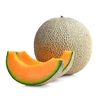 melonisthebestfruit