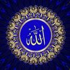user7773340505625