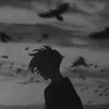00_gm313