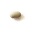 fagiolo_tondo