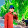 m.ramzan.m.ramzan8253