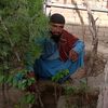 muhammad.qasim4282