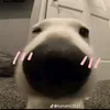 fancjthuwidol