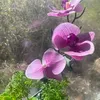 hoang.nnguye