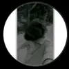 nahidakther04
