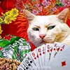 ng.kiet631