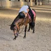 equixjune
