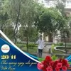 luongquang201