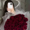 sara_zax0