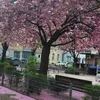 abduaachen