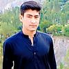 kamran.tiger.47