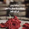 hadool608