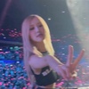 roses_are_rosie29053