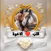 aall8351imi