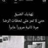 user8114566301131