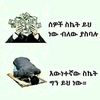 messiabebe288