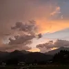 miao_mia00