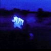 nazz_160