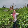 fitrisupadmiasih