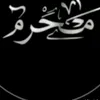 sasa.wled