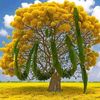 user46260031691523