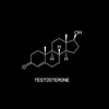 endorphin.pjl