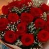 user7219161867309
