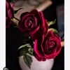 lalachamma18