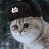 warthunder_guru