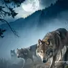 alexandriabrown05