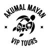 akumal mayan vip tours