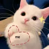 mzd_neon
