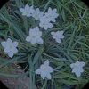 user_anonymous790