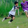 siipennbarca