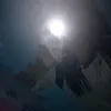 thu_nz0
