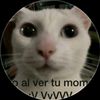 nueva_cuenta88